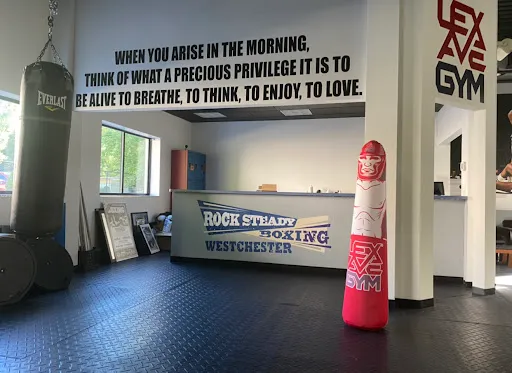 Rock Steady Boxing Westchester