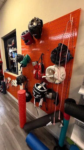 Salas Boxing Academy