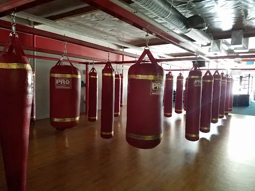 San Jose Boxing & Fitness