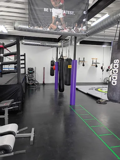 Sapien Art Fitness