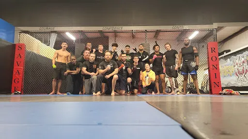 Savage Ronin