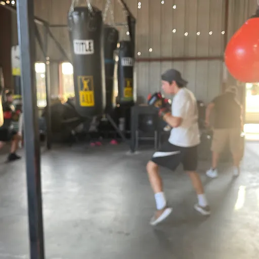 Semper Fit Boxing Gym