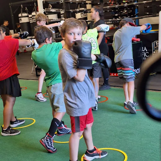 Shasta Boxing Club