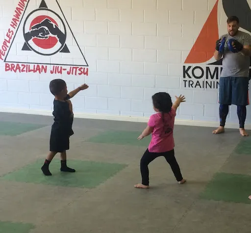 Sleeper martial arts and Brazilian jiu jitsu