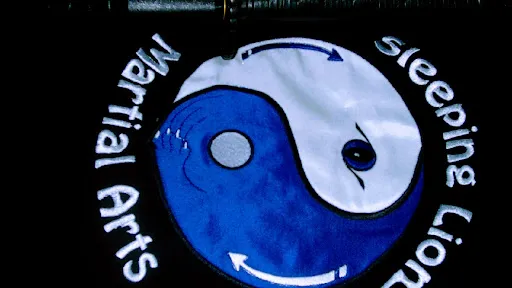 Sleeping Lion Martial Arts