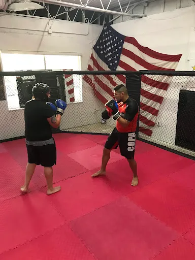 SMITH BROTHERS FIGHTING ACADEMY