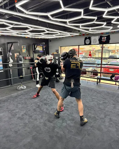 Spartan Boxing Club