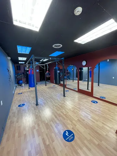 Square Circle Boxing