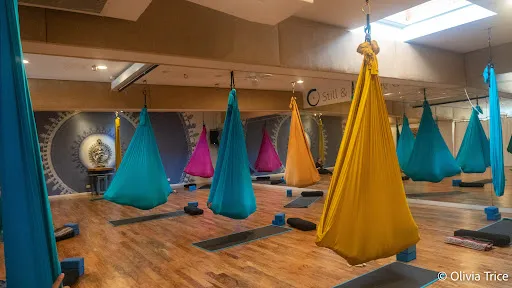 Still & Moving Center