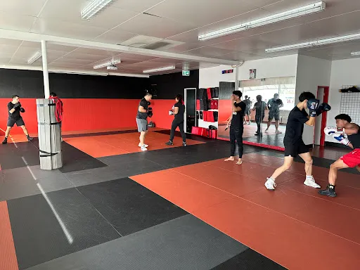 Super Sweet Science Boxing