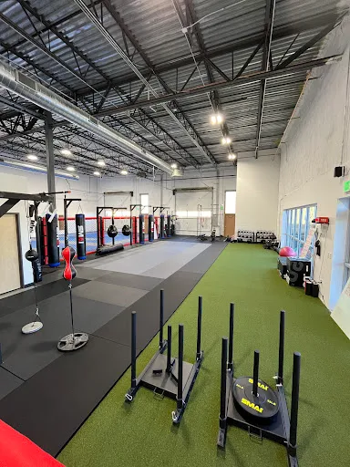 Surge Kickboxing