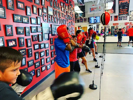 SWEET SCIENCE FITNESS BOXING CLUB