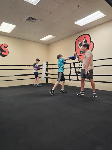 Sweets Boxing