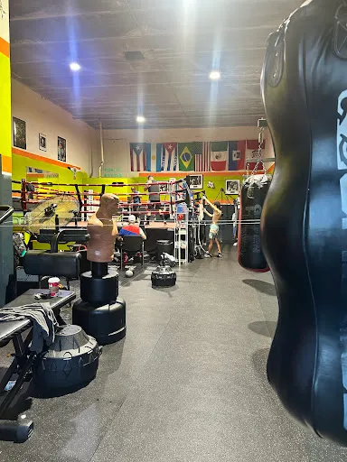 Taylor Boxing Coach