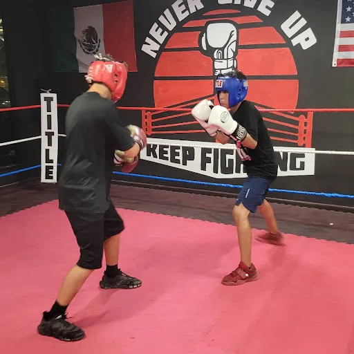 Team Elite Boxing