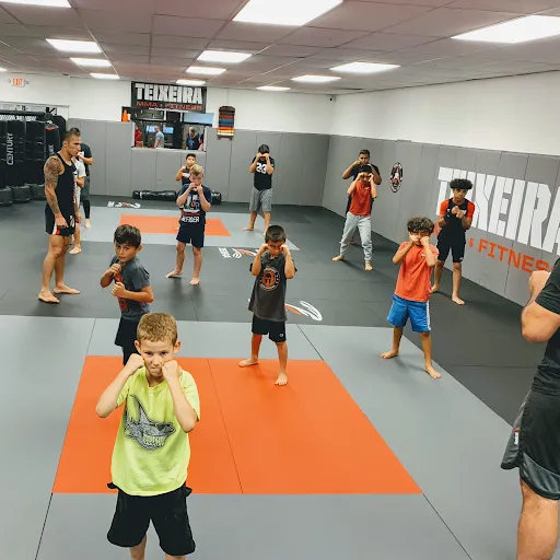 Teixeira MMA & Fitness