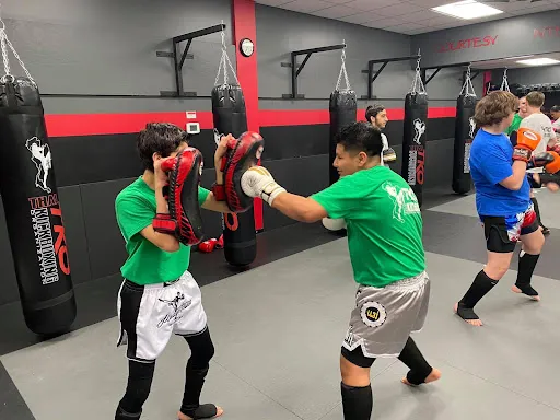 Thai Kickboxing Organization (TKO)