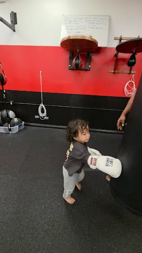 The Forge Gym