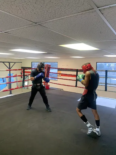 The Good Fight Boxers Club