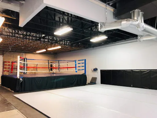 The Institute of Mixed Martial Arts