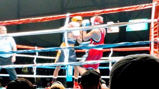 The Michigan Golden Gloves Association, Inc