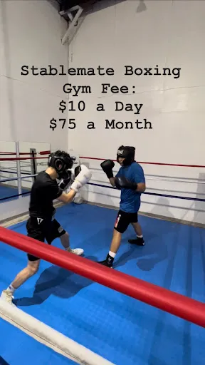 The Stablemate Boxing Gym