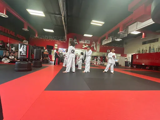 THE STUDIO Martial Arts and Fitness