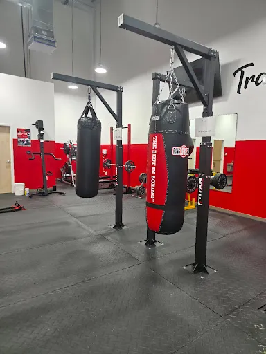 The Sweet Science Boxing & Fitness - Babcock Ranch