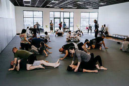 Theory Jiu-Jitsu Studio