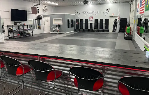 Tiger Martial Arts Fitness Academy