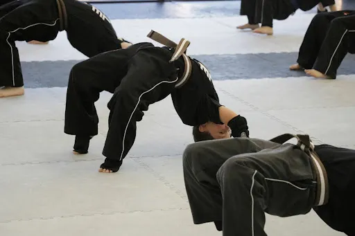 Tiger-Rock Martial Arts of Brandon