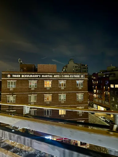 Tiger Schulmann's Martial Arts (Carroll Gardens, NY)