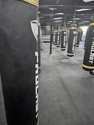 TITLE Boxing Club St. Louis