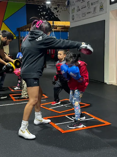 Toe 2 Toe Boxing