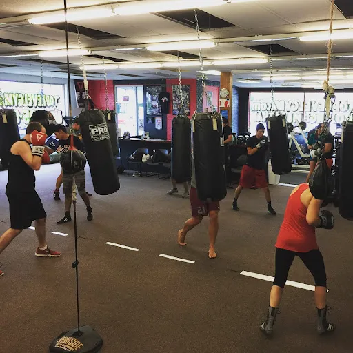 Top Level Gym