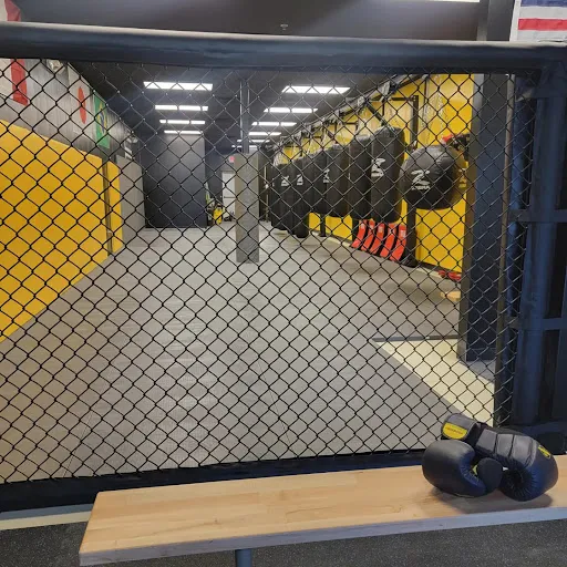 Training Grounds Combat Sports and Fitness