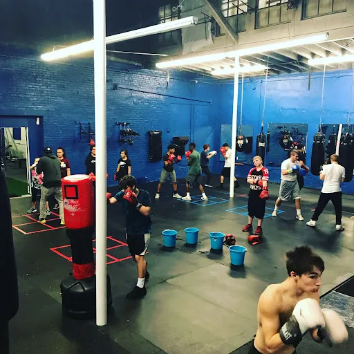 Tri Cities Boxing & Fitness
