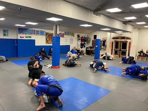 Triangle Academy of Jiu-Jitsu