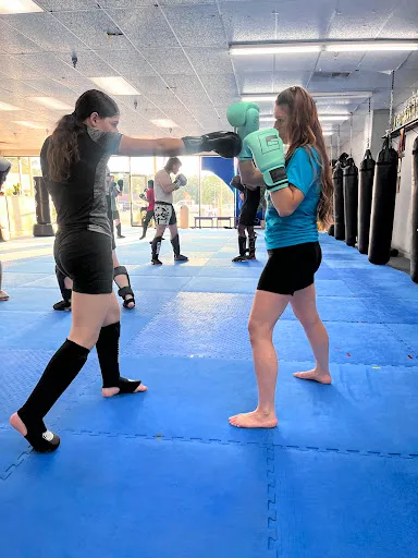 Tribe Gym & Tribe Martial Arts
