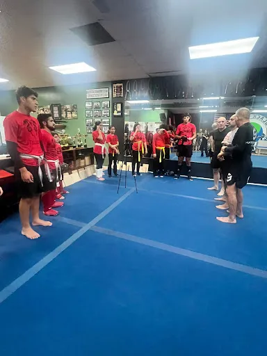 Twin Dragons Academy