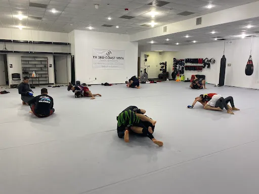 TX 3RD COAST MMA