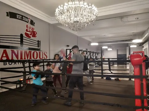 Unanimous Boxing Gym