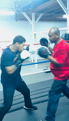 Undisputed Boxing