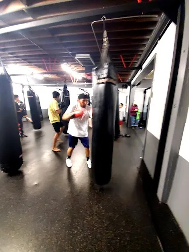 Valley Fight Club