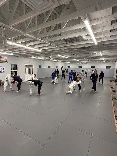 Vida Jiu-Jitsu
