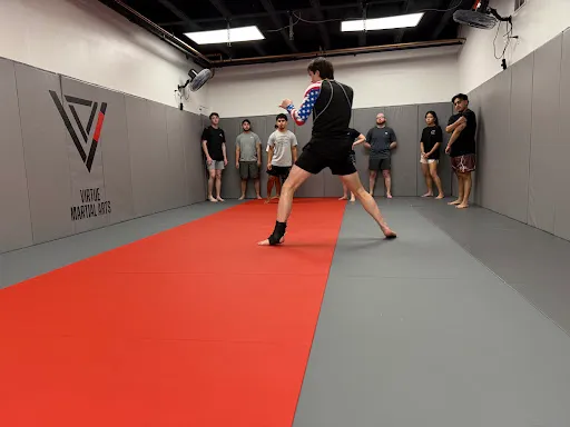 Virtue Martial Arts