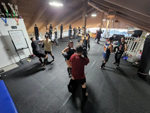 Vital Force Muay Thai & MMA