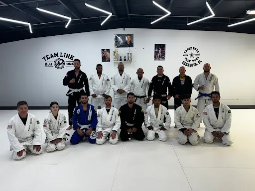 VTT Brazilian jiujitsu, Muay Thai, MMA