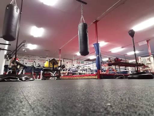 Westbury boxing gym