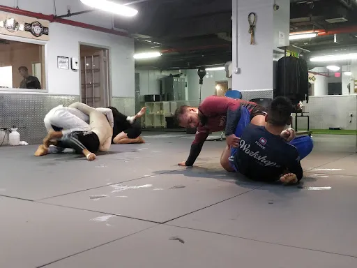 Workshop NYC Muay Thai & Jiujitsu